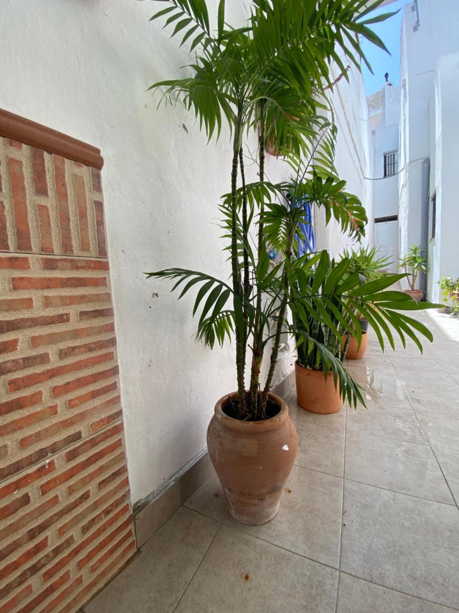 Casa Calle Vejer de la Frontera Zewnętrze zdjęcie